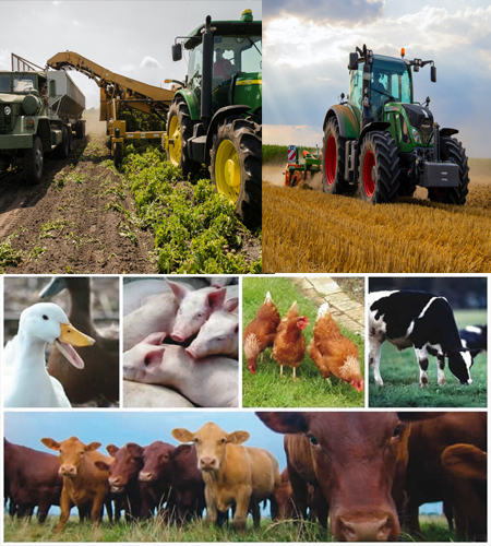 Agricultural & Stock Farming Sector