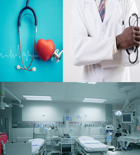Health Sector